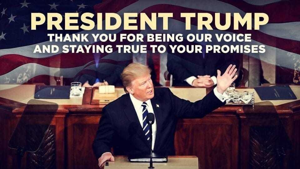 Trump Has Said Some Crazy Shit