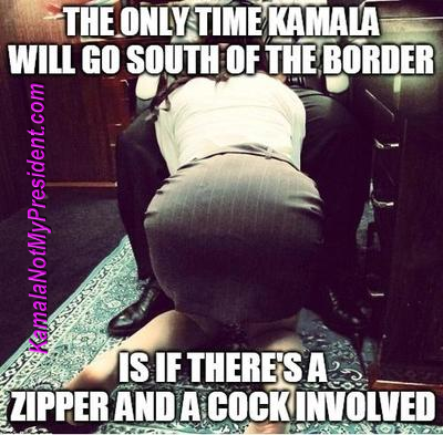 Kamala Has Gone South of The Border Many Times