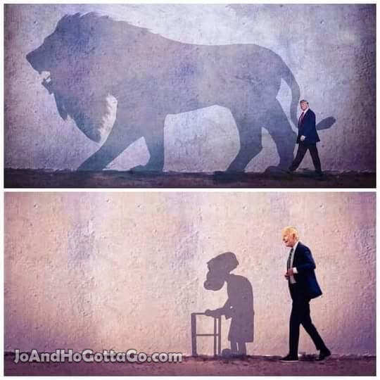 The Shadow Knows