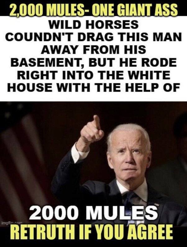 2000 Mules Dragged Joe from His Basement to the White House