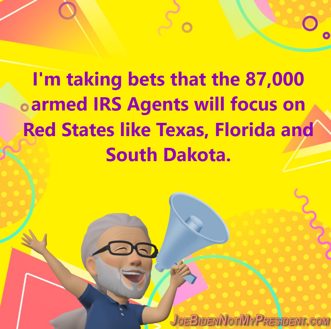 Who Will The New 87,000 Armed IRS Auditors Go After?