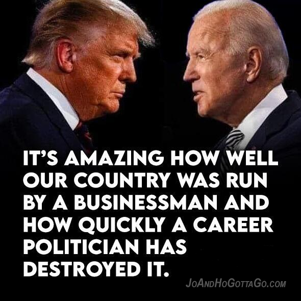 Businessman VS. Career Politician
